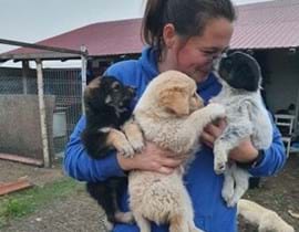 lady carrying three puppies she has just rescued