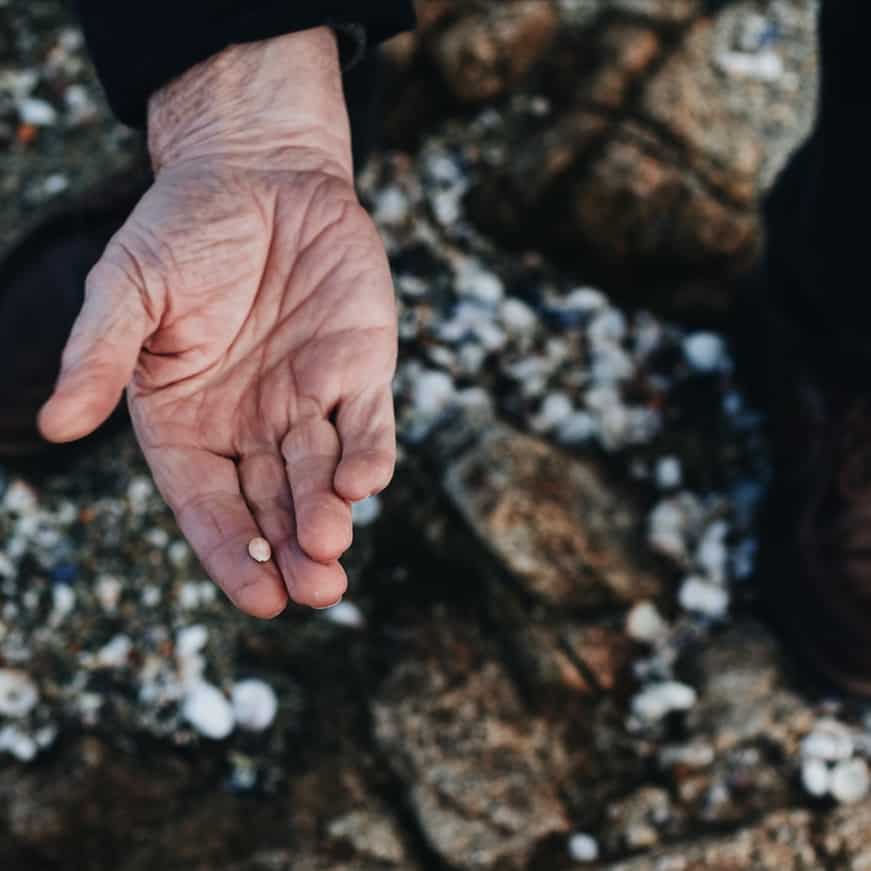 Hand of a grandparent holding a small shell