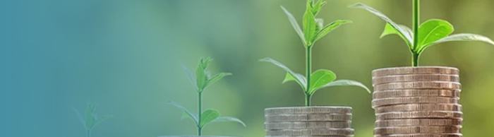 piles of coins with saplings growing